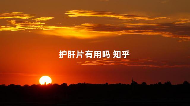 护肝片有用吗 知乎
